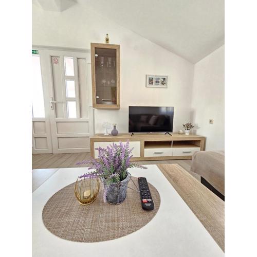 Apartment VIP