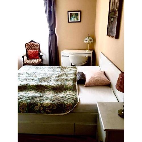 Apartment Vltavska F