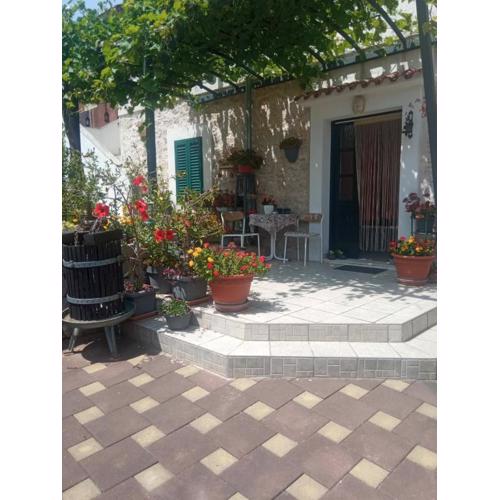 Apartment Vodice