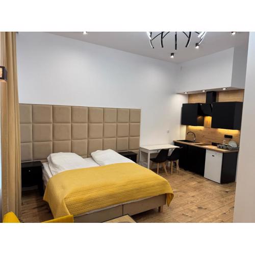 Apartment w starym miescie