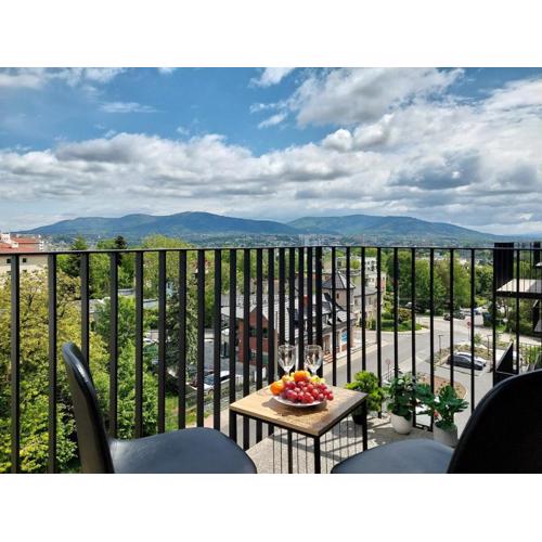Apartment with Mountain View in Bielsko-Biała