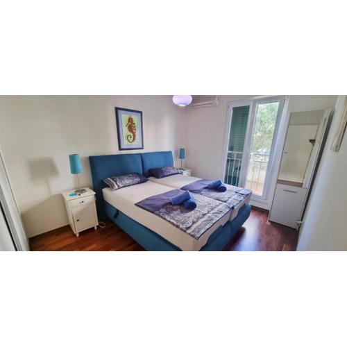 Apartment Zana