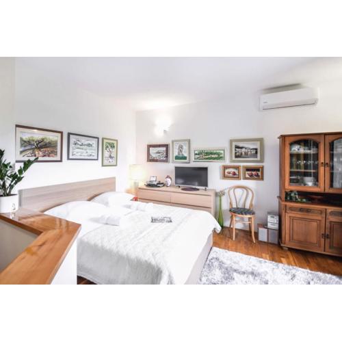 Apartment Zore