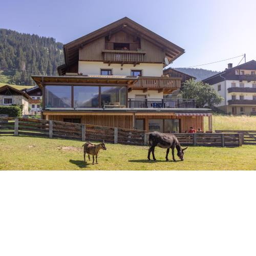 Apartmenthaus - Erlebenswert Bauernhof Gruber