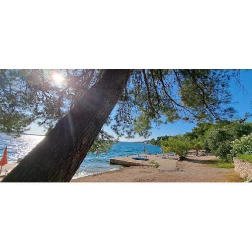Apartments Ana Žaborić, 50 m od šljunčane plaže
