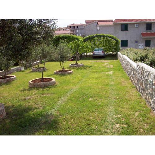 Apartments Barac
