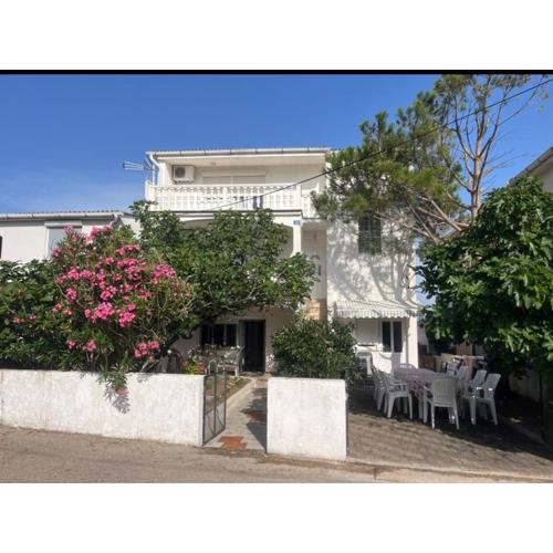 Apartments B&B