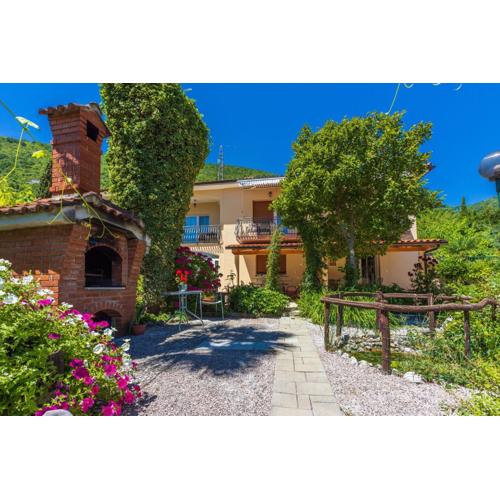 Apartments Branka