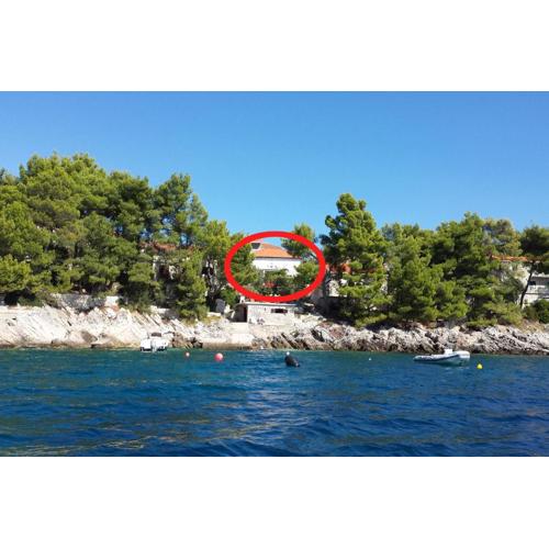 Apartments by the sea Brna, Korcula - 9296