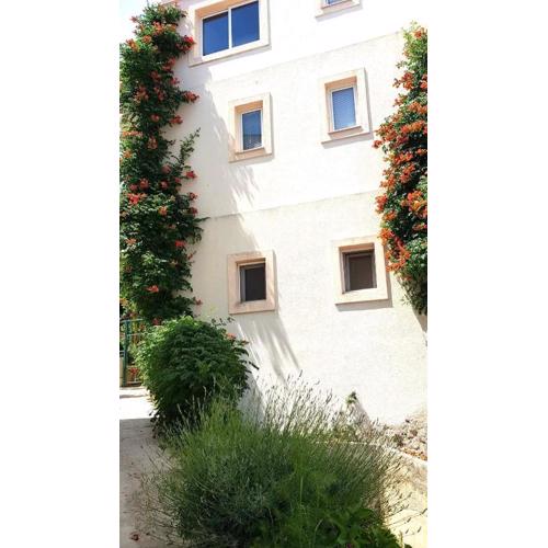 Apartments by the sea Igrane, Makarska - 24626