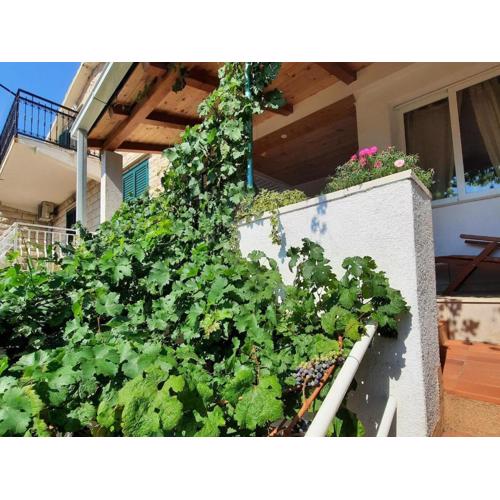 Apartments by the sea Igrane, Makarska - 24635