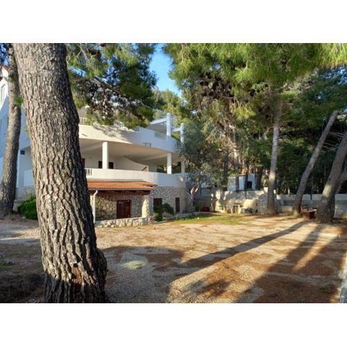 Apartments by the sea Ivan Dolac, Hvar - 21269