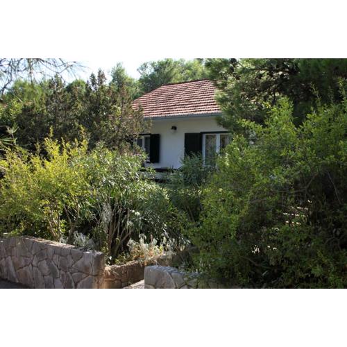 Apartments by the sea Mudri Dolac, Hvar - 4042