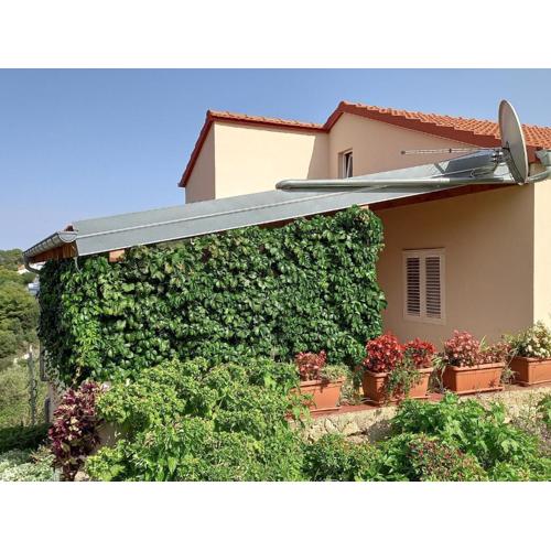 Apartments by the sea Sali, Dugi otok - 8117