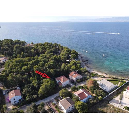 Apartments by the sea Susica, Ugljan - 21389