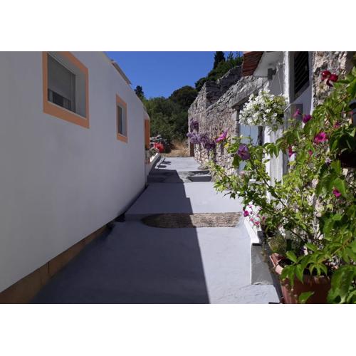 Apartments by the sea Tisno, Murter - 4298
