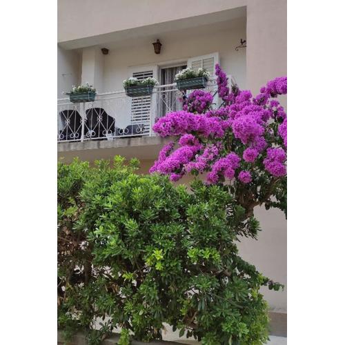 Apartments by the sea Trpanj, Peljesac - 14309
