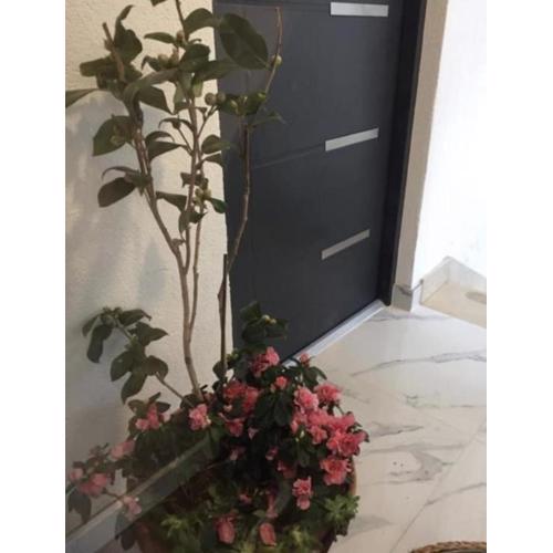 Apartments by the sea Tucepi, Makarska - 23118