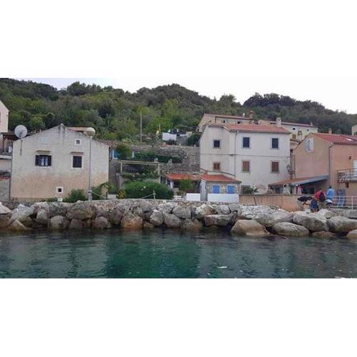 Apartments by the sea Valun, Cres - 20860