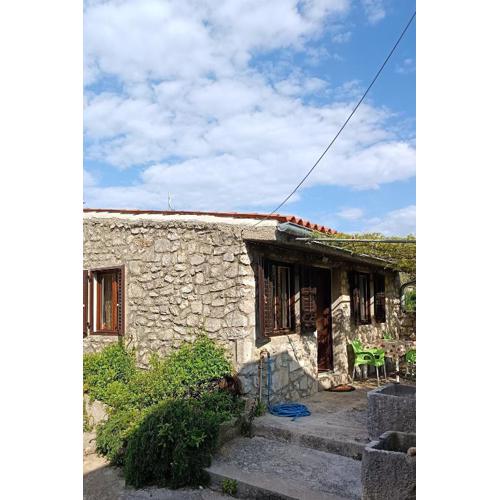 Apartments by the sea Veli Losinj, Losinj - 24371