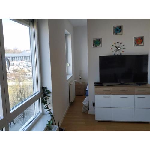 Apartments Cankareva