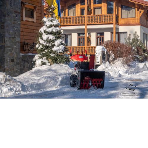 Apartments Chalet Girska Hatyna