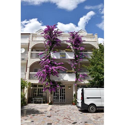 Apartments Cipetic
