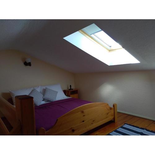 Apartments Davor