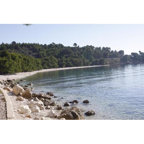 Apartments Delfin