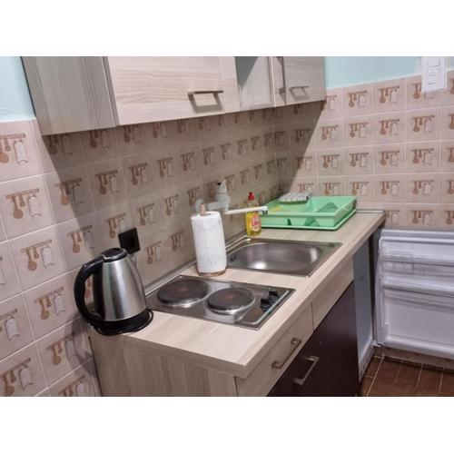 Apartments eljka - Studio Apartment with Terrace 2