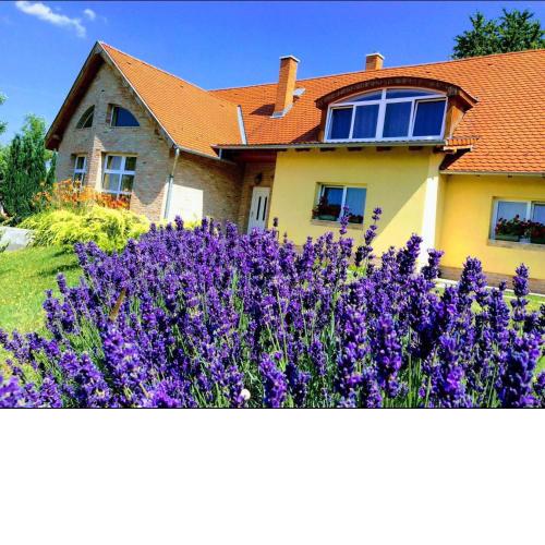 Apartments for Rent near Budapest