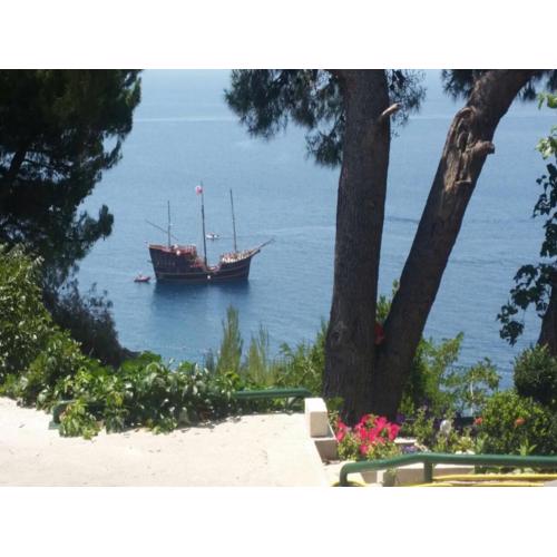 Apartments Garac