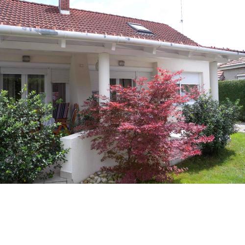 Apartments in Balatonfenyves/Balaton 18466