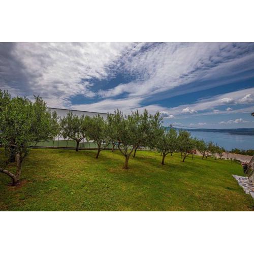 Apartments in Crikvenica 43070