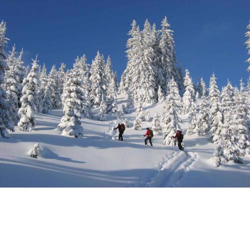 Apartments in Eisenerz/Steiermark 35486