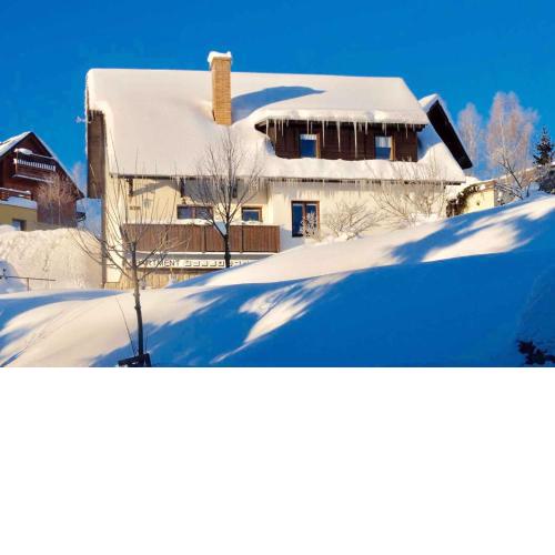 Apartments in Harrachov/Riesengebirge 2300
