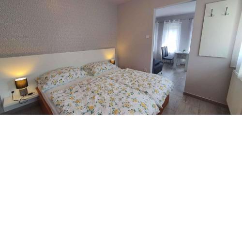 Apartments in Heviz - Balaton 44880