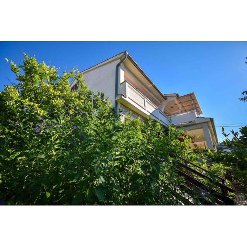 Apartments in Palit - Insel Rab 17812