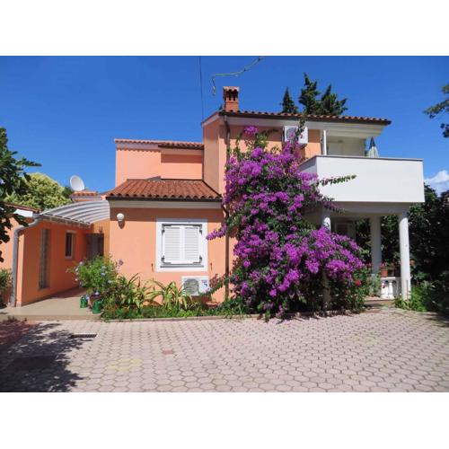 Apartments in Premantura/Istrien 34773