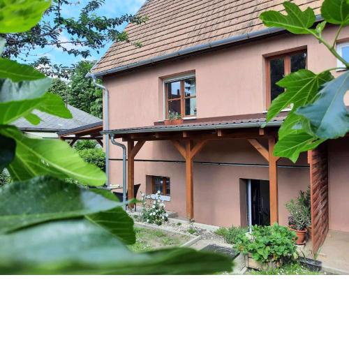 Apartments in Siofok/Balaton 36443