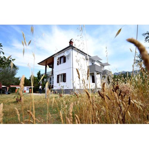 Apartments in Starigrad-Paklenica 35542