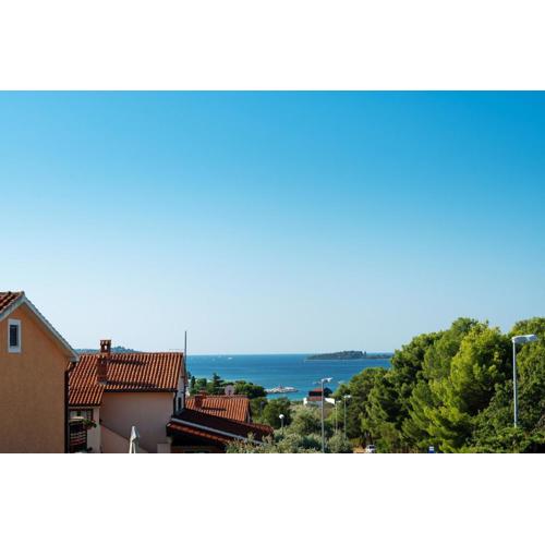 Apartments Irena with sea view
