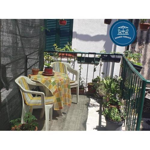 Apartments Iva