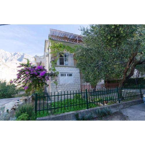 Apartments Jadro