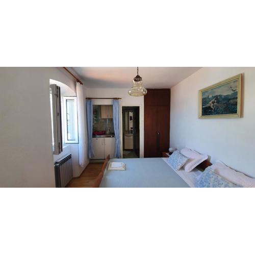 Apartments Jurić - 1 A studio apartment with a view