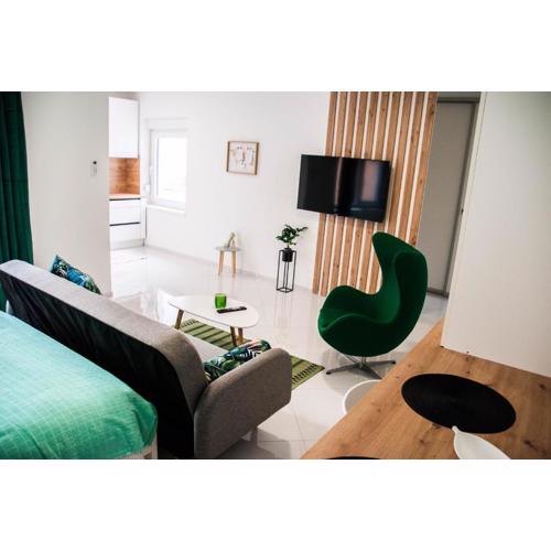Apartments Lisinski - Private parking