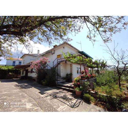 Apartments Marica