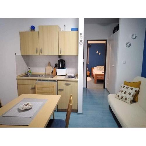 Apartments Marija - One Bedroom Apartment with Balcony Plavi A3
