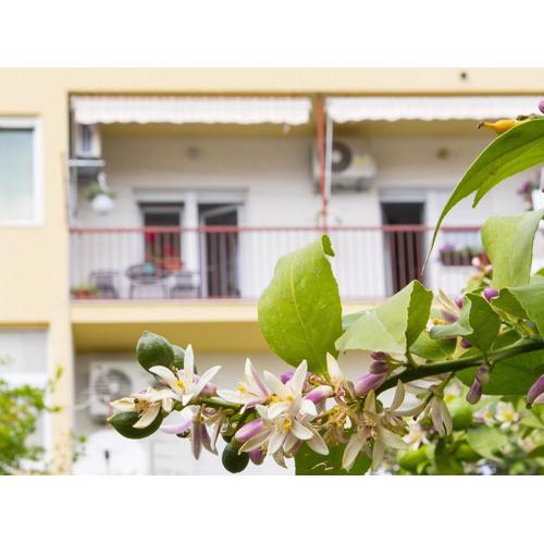 Apartments Marli
