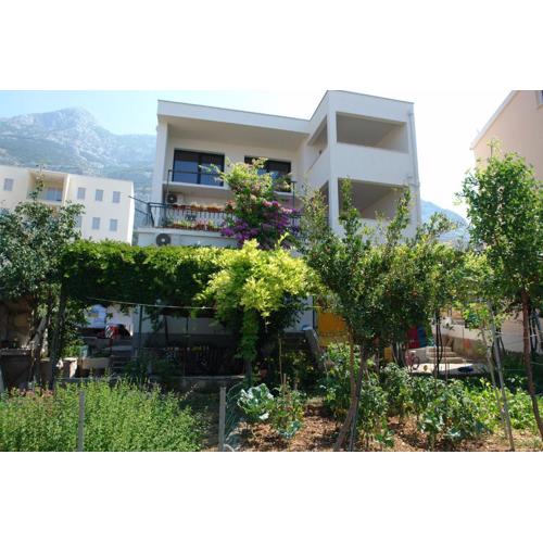 Apartments Matej